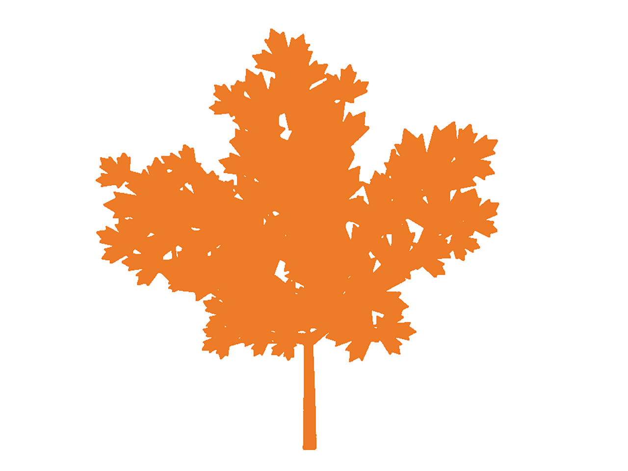 Simple illustration of a maple tree